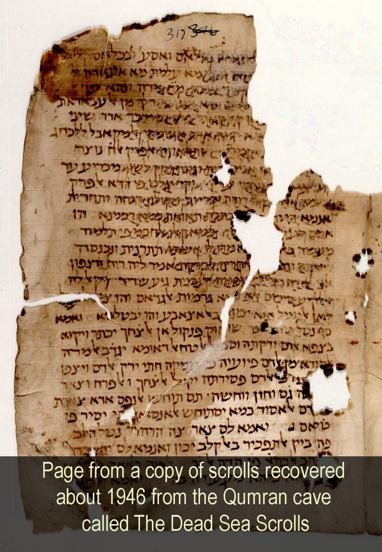 dead sea scroll