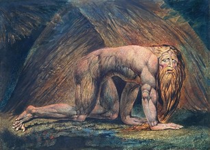 nebuchadnezzar became a mad man